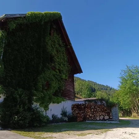 Waldnerwirt Guest house Kleinsolk